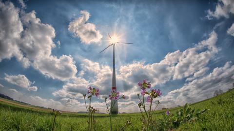éolienne dans un champ