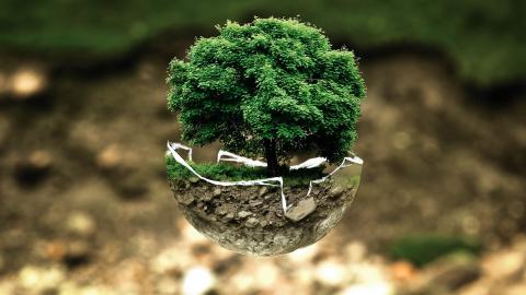 Illustration virtuelle d'un arbre dans une bulle de verre