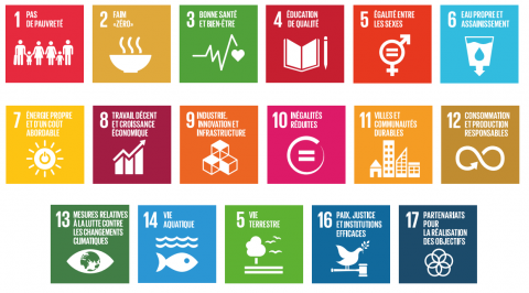 Infographie des 17 objectifs développement durable