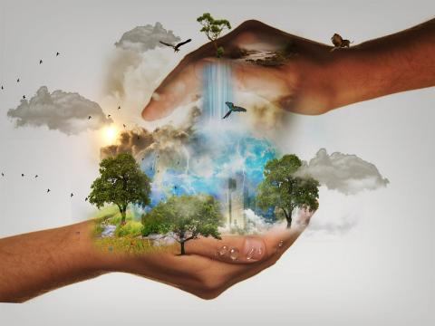 illustration virtuelle de la main d'homme en protecteur du climat